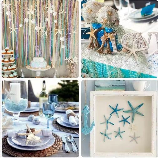 15pcs  Christmas Tree Ornaments,Star Fish Shells Decor